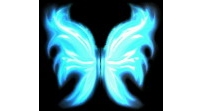 蓝蝴蝶翅膀